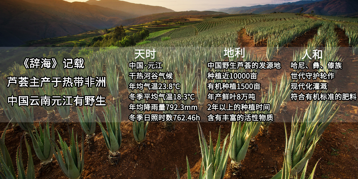 天时地利人和.jpg