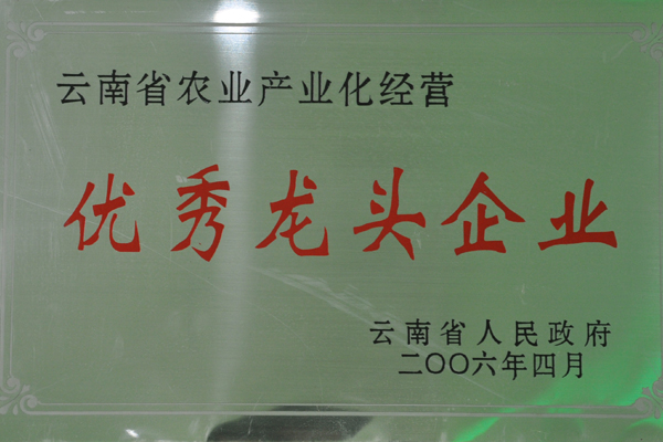 农业产业化优秀龙头企业